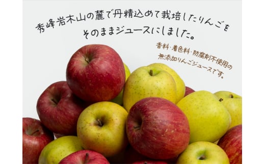 りんごジュース 【 12月中旬より順次出荷 数量限定 】 西樹園 無添加 ストレートりんごジュース 1L × 12本 青森県 鰺ヶ沢町 青森りんご ブレンド ジュース