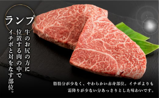 【年内順次発送】菊の井 飛騨牛赤身ステーキセット（イチボ・ランプ　各200g×2）牛肉 ブランド牛 国産【冷凍】ステーキ 赤身 牛 飛騨牛 年内配送 年内発送 年内に届く 年内お届け