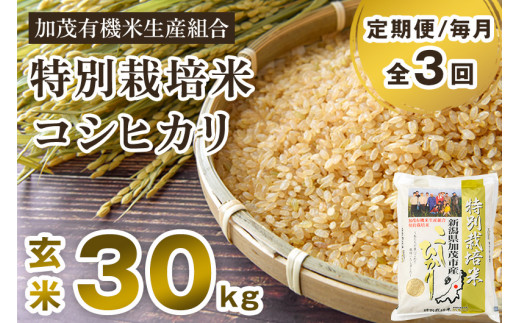 【令和6年産新米先行予約】【定期便3回毎月お届け】新潟県加茂市産 特別栽培米コシヒカリ 玄米30kg（5kg×6） 従来品種コシヒカリ 加茂有機米生産組合