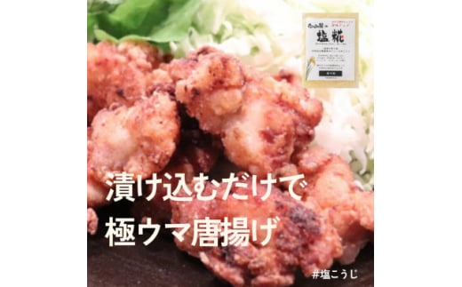 糀はじめてセット★発酵食の初心者ができる簡単レシピ付★お試しパックで失敗ナシ【1383797】