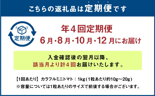 【年4回定期便】カラフルミニトマト 約1kg トマト 高森町産