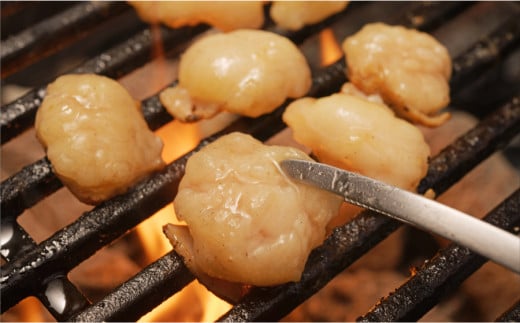 阿蘇うぶやま村の放牧あか牛焼肉堪能セット