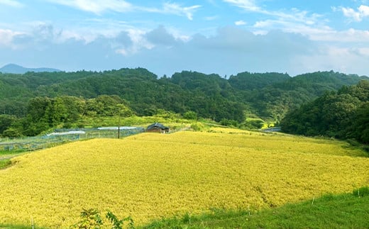 令和6年産 岡山県産あさひ10kg（5kg×2袋）