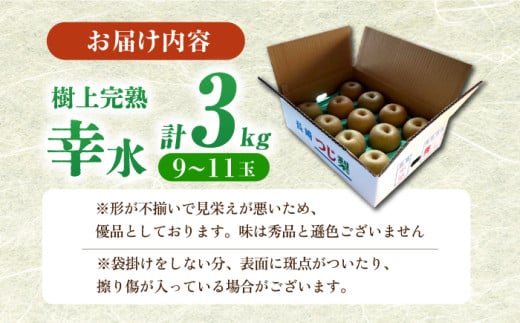 梨 なし ナシ 幸水 こうすい 果物 フルーツ 3㎏ 優品 産地直送