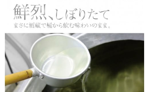 AV042　【先行予約】令和六年新米仕込み 純米大吟醸新酒720ml×2本