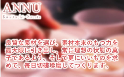 [№5903-0284]職人 手作り 焼菓子セット 合計 約13点 国立市 おしゃれ オシャレ スイーツ パティシエ 菓子 手作り リピータ