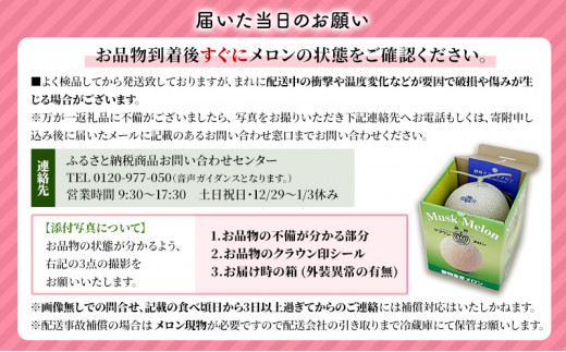 数量限定！『クラウンメロン1玉とメロンカレー2箱』 メロン 人気 厳選 ギフト 贈り物 レトルト 即席 デザート グルメ フルーツ 果物 袋井市