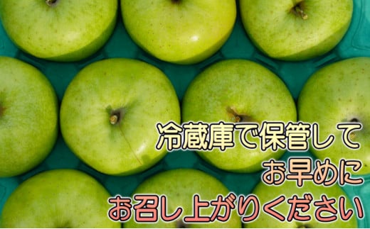 年明け 贈答規格 王林 約3kg（特A）【1月・2月・3月・青森りんご・JA津軽みらい(板柳）】