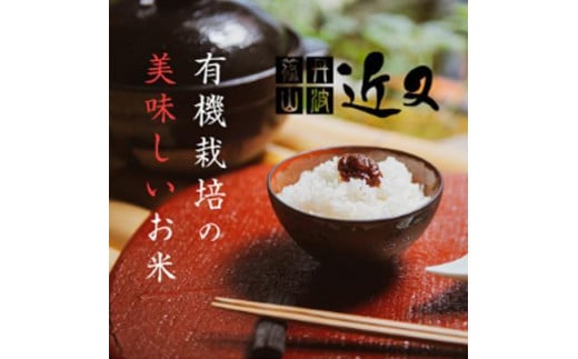 令和6年産新米【有機栽培米】 丹波篠山産コシヒカリ 2kg 3袋