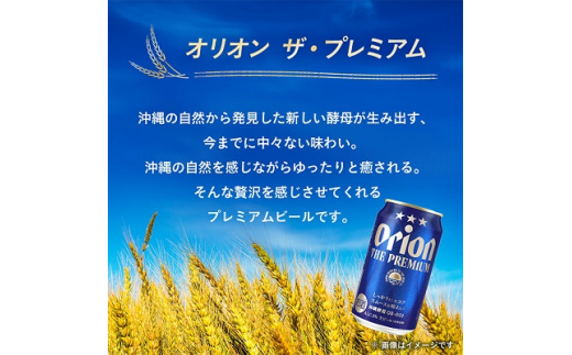 ＜毎月定期便＞3ヵ月定期便!オリオン ザ・プレミアム(350ml×24缶)全3回【4009593】