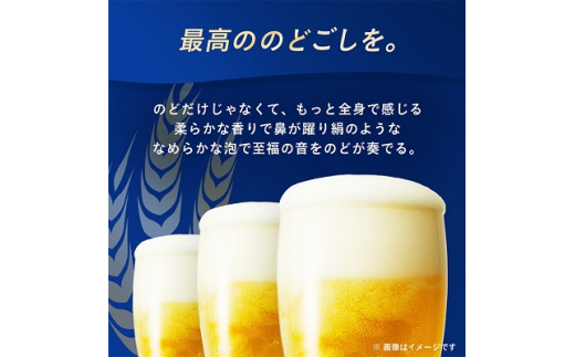 ＜毎月定期便＞3ヵ月定期便!オリオン ザ・プレミアム(350ml×24缶)全3回【4009593】