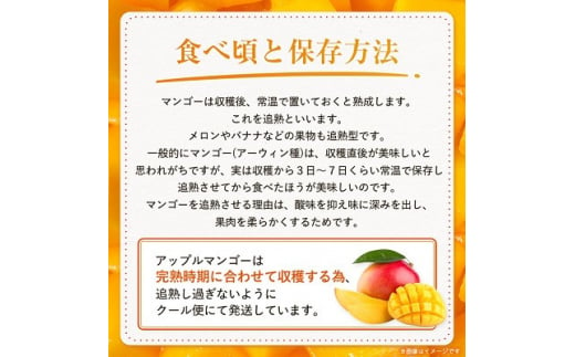 ＜2025年発送予定・訳あり＞アーウィンマンゴー1.5kg(3～6玉)【1494040】