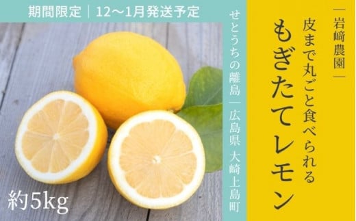 ｜予約｜12〜1月発送予定｜大崎上島産 皮まで丸ごと食べられる！もぎたてレモン約5kg