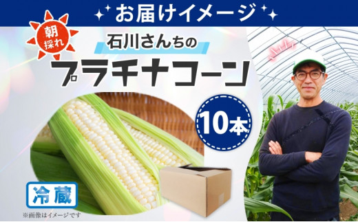 北海道 月形町産 石川さんちの プラチナコーン 10本 白い とうもろこし コーン ホワイト 野菜 夏野菜 旬 生 完熟 甘い ジューシー 採れたて 新鮮 朝採れ お取り寄せ 産地直送 エーコープつきがた 送料無料 [№5783-0744]