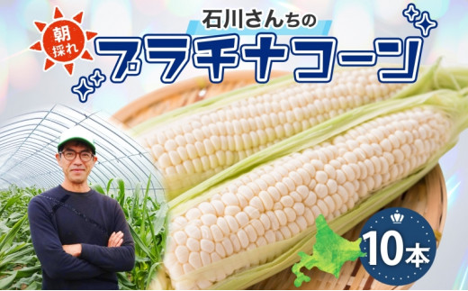 北海道 月形町産 石川さんちの プラチナコーン 10本 白い とうもろこし コーン ホワイト 野菜 夏野菜 旬 生 完熟 甘い ジューシー 採れたて 新鮮 朝採れ お取り寄せ 産地直送 エーコープつきがた 送料無料 [№5783-0744]