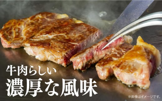 【冷蔵配送】長崎和牛 ロース肉 ステーキ用 （4枚） 長崎県/深佐屋 [42ABAD002]