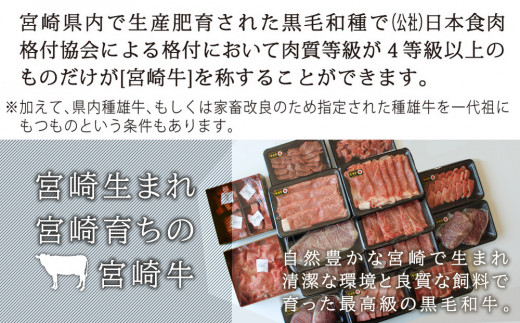 【定期便）宮崎牛食べ比べ贅の極み9か月コース 5.48kg（36-222）