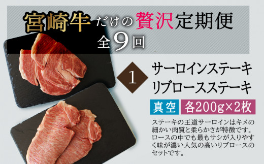 【定期便）宮崎牛食べ比べ贅の極み9か月コース 5.48kg（36-222）