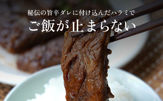 肉ソムリエ監修!極み旨辛ハラミ150g×2  ふるさと納税 ハラミ 肉 お肉 人気 詰め合わせ 京都府 福知山市