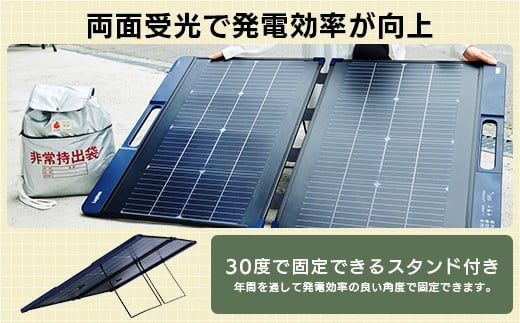 【940-01】ロジテック ポータブル電源 2500P ソーラーパネル 100W セット 容量 2560Wh AC出力 2500W【DE-PS2500PLBK+MPA-SP100DLNV】