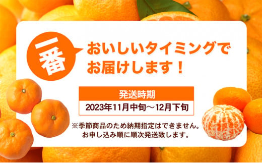 愛媛県産JA正規品 温州みかん【優】約10Kg L～Sサイズ（2024年11月～順次発送）【旬 甘い みかん 蜜柑 柑橘 かんきつ 高級 先行予約】[№5310-0030]