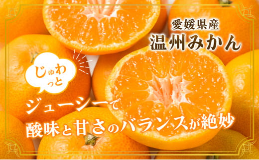 愛媛県産JA正規品 温州みかん【優】約10Kg L～Sサイズ（2024年11月～順次発送）【旬 甘い みかん 蜜柑 柑橘 かんきつ 高級 先行予約】[№5310-0030]