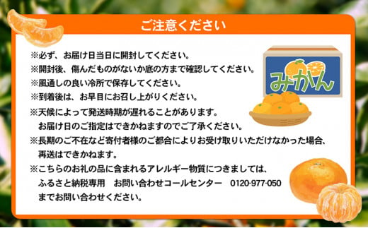 愛媛県産JA正規品 温州みかん【優】約10Kg L～Sサイズ（2024年11月～順次発送）【旬 甘い みかん 蜜柑 柑橘 かんきつ 高級 先行予約】[№5310-0030]