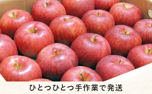 りんご サンふじ 家庭用 5kg 丸西農園 沖縄県への配送不可 2024年12月中旬頃から2025年1月上旬頃まで順次発送予定 令和6年度収穫分 特別栽培農産物 ( 除草剤 化学肥料 不使用 ) 信州 果物 フルーツ リンゴ 林檎 長野 13000円 予約 農家直送 長野県 飯綱町 [0726]