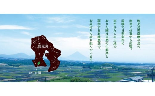 049-01 おりた園特上深蒸し茶3本セット