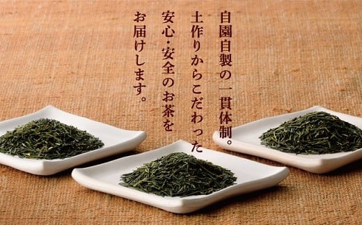 049-01 おりた園特上深蒸し茶3本セット