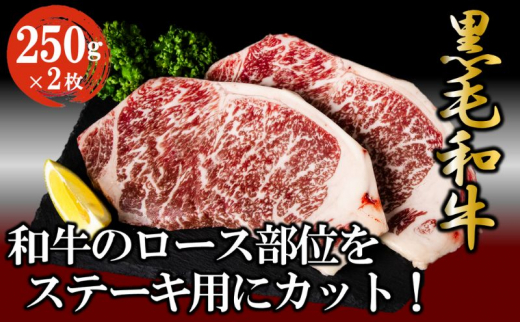 黒毛和牛 ロースステーキ 500g （250g×2枚） 牛肉 お肉 ステーキ ロース [№5802-0344]