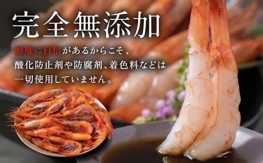 【福井県産】鮮度抜群の大きい甘エビ1kg 小分け（総重量1.2kg） ※無添加 天然 甘えび真空パック済 