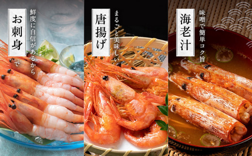 【福井県産】鮮度抜群の大きい甘エビ1kg 小分け（総重量1.2kg） ※無添加 天然 甘えび真空パック済 