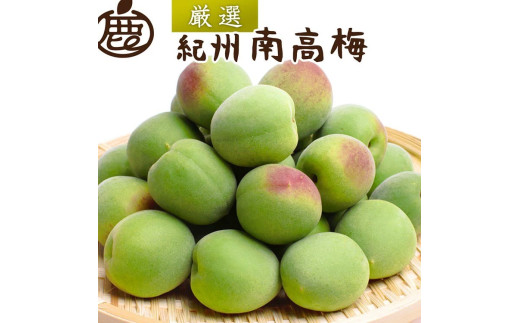有機栽培 青梅 3kg(ジュース・梅酒・酵素用)| 果実 かじつ 有機栽培 青梅 3kg(ジュース・梅酒・酵素用)| 果実 かじつ