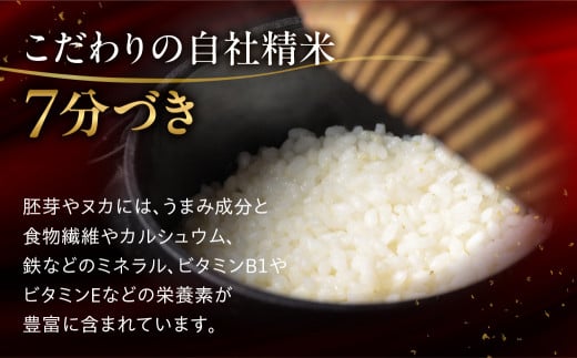 予約受付【2024年産米】＜満天☆青空レストランでご紹介＞【定期便】2kg×12回 飛騨産・龍の瞳（いのちの壱）株式会社龍の瞳直送 精米 ブランド米 米 2キロ×12か月（計 24キロ）りゅうのひとみ 竜の瞳 定期 毎月 令和6年