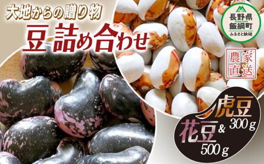 信州産 豆 2種類 詰め合わせ 800g ( 花豆 500g ＆ 虎豆 300g ) 上倉荘 沖縄県への配送不可 2023年10月中旬頃から2024年2月上旬頃まで順次発送予定 信州 お豆 まめ マメ 野菜 9500円 長野県 飯綱町 [1252]