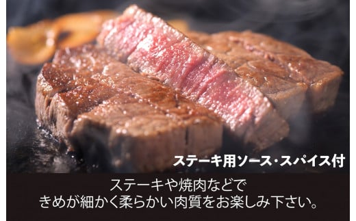 黒毛和牛 A5ランク ヒレ ブロック 500g (ステーキ用ソース・スパイス付) 和牛 冷蔵 ブロック肉 牛肉 ヒレ肉 ヒレステーキ フィレ 黒毛和牛 国産牛 ブランド牛 和牛 ヒレ肉 フィレ ヘレ 赤身 肉 お肉 牛肉 ギフト 贈答 贈答用 人気