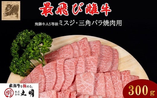 ＜最飛び雌牛＞飛騨牛A5等級ミスジ・三角バラ焼肉用　300g【1520158】