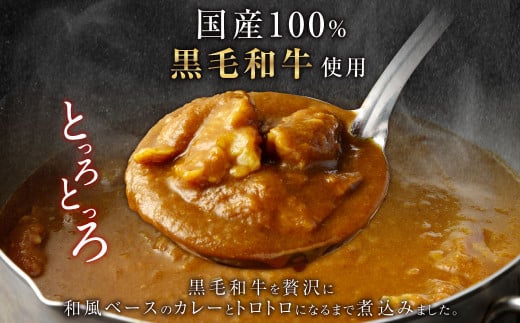 黒毛和牛 牛肉カレー (250g×8パック) 計2kg