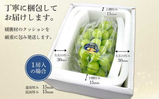 【定期便 全4回／2025年7～10月毎月発送】岡山県産 シャインマスカット 晴王 2房 約1.2kg ４回定期便　 ７月・８月・９月・10月に１回づつお届け　種無し 皮ごと食べる フレッシュ 先行受付　ハレノスイーツ