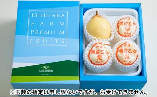 【終了】梨 2024年 先行予約 備前乙女梨（鴨梨） 3～4玉入り（2kg以上）贈答箱  ナシ なし 岡山県産 国産 フルーツ 果物 ギフト 石原果樹園