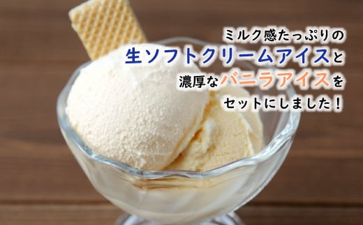 食べ比べ！生ソフトクリームアイス＆バニラアイスクリーム 16個セット アイスクリーム 10000円