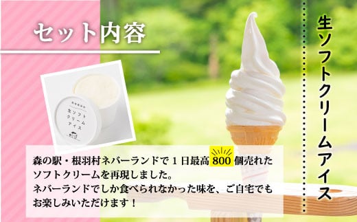 食べ比べ！生ソフトクリームアイス＆バニラアイスクリーム 16個セット アイスクリーム 10000円