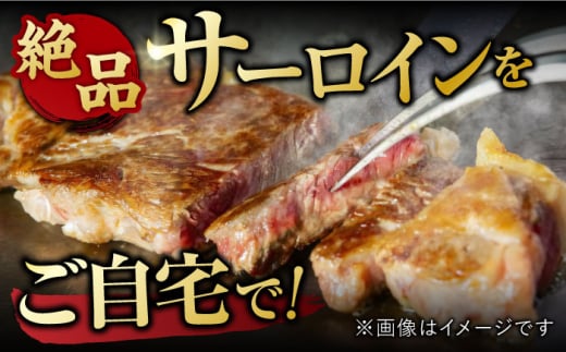 【12回定期便】 艶さし！ 佐賀牛 サーロインステーキ 計6kg （250g×2枚×12回） 吉野ヶ里町 [FDB041]