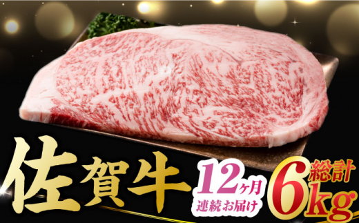 【12回定期便】 艶さし！ 佐賀牛 サーロインステーキ 計6kg （250g×2枚×12回） 吉野ヶ里町 [FDB041]