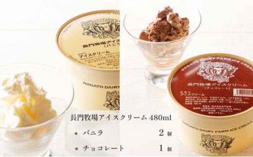 【定期便】12ヵ月連続でお届け！長門牧場アイスクリーム 480ml 3個セット バニラ チョコレート アイス ギフト スイーツ デザート 人気 おすすめ 高評価 お土産 ご当地