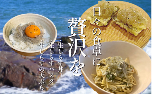 漁師がとれたてを即冷凍! 生しらす (しらす日本一の島 篠島産) 400ｇ