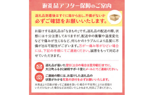 《先行予約》ラ・フランス　約3kg（2Lサイズ　8～9玉） 【2024年10月20日以降～発送予定】【022-008】