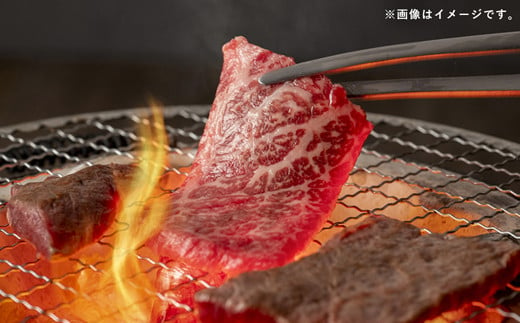 【令和6年11月配送】【特選焼肉用500g】くまもとあか牛〈GI認証〉