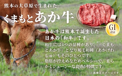 【令和6年11月配送】【特選焼肉用500g】くまもとあか牛〈GI認証〉